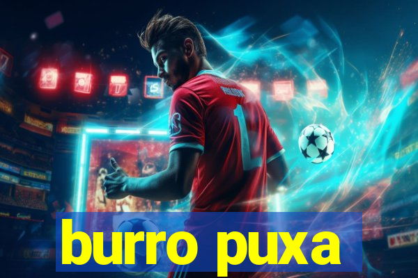 burro puxa